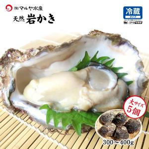 お中元 岩牡蠣 カキ かき (天然 殻付き 生食用) 石川県産