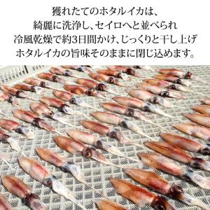 ホタルイカ ほたるいか いしる干し 200g ...の詳細画像5
