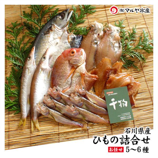 ギフト 干物 セット 5〜6種 石川県産 ひもの 一夜干し 詰め合わせ お取り寄せ 産地直送 送料無...