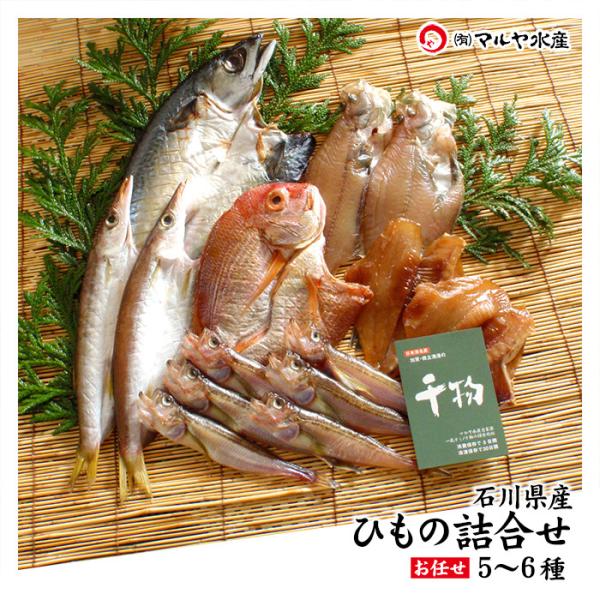 干物 ひもの 一夜干し (石川県産) お任せ 5〜6種 詰め合わせ