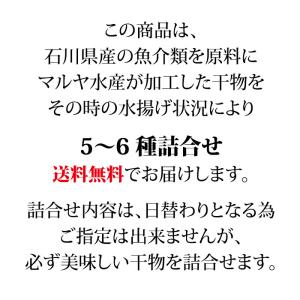 ギフト 干物 セット 5〜6種 石川県産 ひも...の詳細画像1