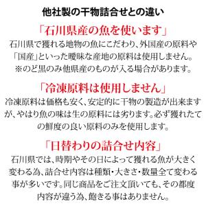 ギフト 干物 セット 5〜6種 石川県産 ひも...の詳細画像2