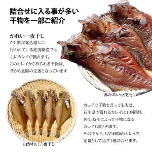 ギフト 干物 セット 5〜6種 石川県産 ひも...の詳細画像3
