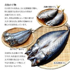 ギフト 干物 セット 5〜6種 石川県産 ひも...の詳細画像5