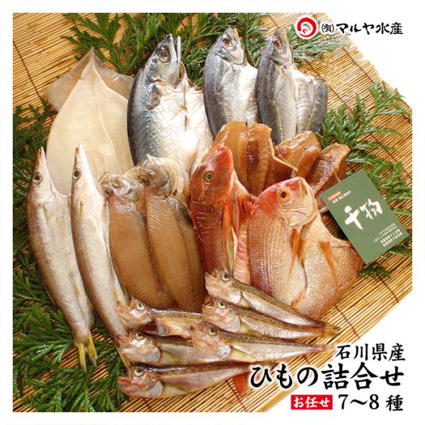 ギフト 干物 セット 7〜8種 石川県産 ひもの 一夜干し 詰め合わせ お取り寄せ 産地直送 送料無...