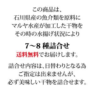 ギフト 干物 セット 7〜8種 石川県産 ひも...の詳細画像1