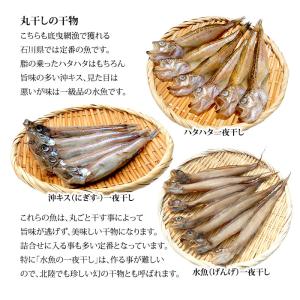 ギフト 干物 セット 7〜8種 石川県産 ひも...の詳細画像4