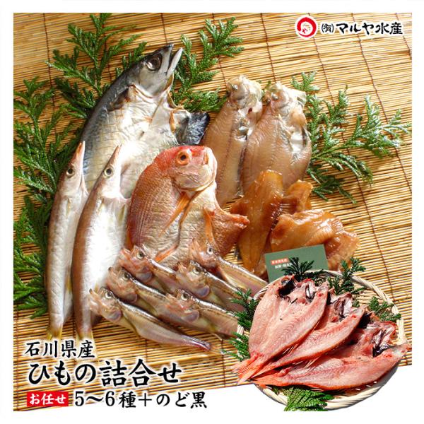 ギフト 干物 セット 5〜6種 ＋ のどぐろ 2〜3枚 石川県産 ひもの 一夜干し 詰め合わせ お取...