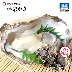 牡蠣 岩ガキ 殻付き 生食用 石川県 大サイズ 10個 産地直送 かき 夏