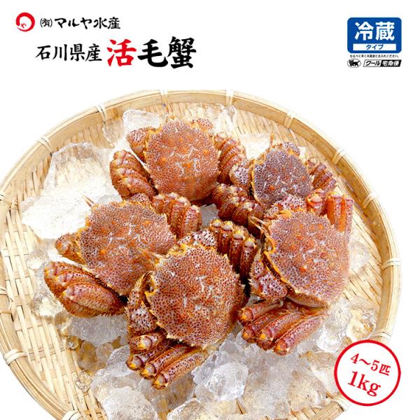 毛ガニ 毛蟹 訳あり 4〜5匹 1.0kg セット 石川県産 活蟹 or 茹で蟹 未冷凍品 加賀 能...