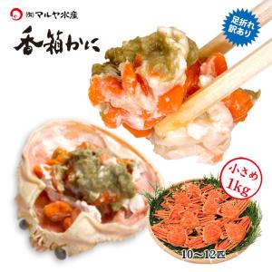 旅館・飲食店への納入予定分が行き場を失い少量販売再開！香箱蟹 せいこ 足折れ 小さめ 1kg詰め合わせ (10〜12匹)  浜茹で 産地直送 お取寄せ 送料無料｜maruya