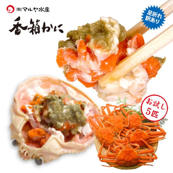 蟹漁解禁 カニ 訳あり かに 蟹 ズワイガニ セコガニ 香箱蟹 せいこ お試し 訳あり 5匹 詰め合...
