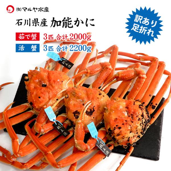 蟹漁解禁 カニ かに 蟹 ズワイガニ ずわい蟹 加能かに 訳あり 足折れ 石川県産 3匹 合計2.0...
