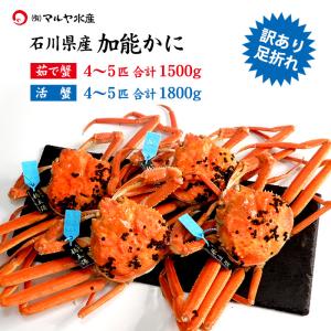 ズワイガニ/加能かに 訳あり足折れ (石川県産) 合計1.5kg(4〜5匹) 青タグ付き 茹で蟹 活蟹(生かに)でもお届け可能｜maruya