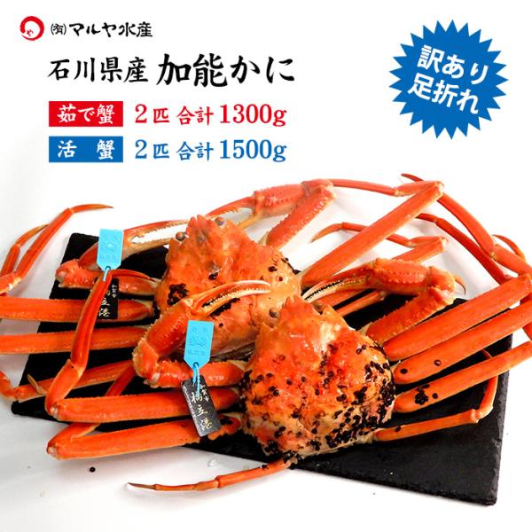蟹漁解禁 カニ かに 蟹 ズワイガニ ずわい蟹 加能かに 訳あり 足折れ 石川県産 2匹 合計1.3...