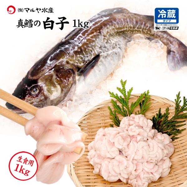 白子/真たち ( 真鱈 寒たら まだら ) 日本海産 生食用 1kg 送料無料 ※お届け日指定不可