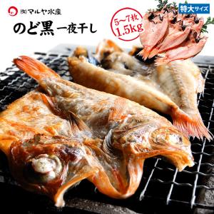 のどぐろ のど黒 一夜干し 開き 干物 特大サイズ 5〜7枚 合計1.5kg 産地直送 お取寄せ 送料無料｜maruya