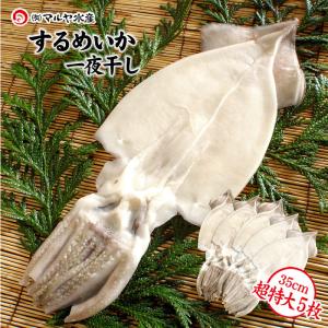 するめいか 干物 一夜干し (石川県産 小木漁港水揚げ1本凍結