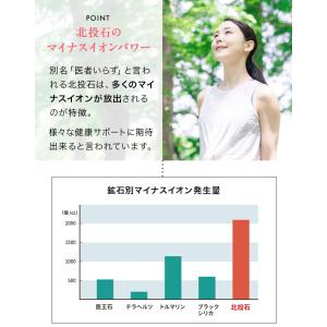 サポーター 骨盤 しっかりタイプ 岩盤浴 北投...の詳細画像5