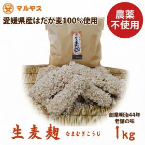 麦麹 生 1kg 農薬不使用 愛媛県産はだか麦 無添加 生こうじ 麹 味噌作り ひしお もろみ 酵素 国産 マルヤス味噌