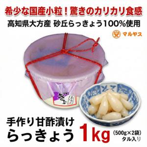 国産 らっきょう 1kg 高知県 大方産 砂丘らっきょう 甘酢漬け 小粒 カリカリ 手作り 漬物 ご飯のお供 カレー おつまみ 食品 マルヤス味噌