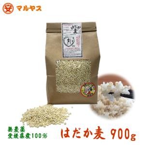 はだか麦 900g 愛媛県産 無農薬 大麦の上質種 もち麦と同様,水溶性食物繊維が豊富な裸麦