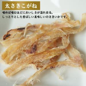 いかくん バラエティーY 105g×2袋 おつ...の詳細画像4