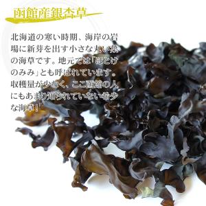 天然海藻 銀杏草 10g×2袋 函館産 自然食...の詳細画像1