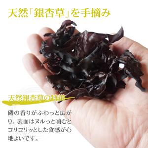 天然海藻 銀杏草 10g×2袋 函館産 自然食...の詳細画像2