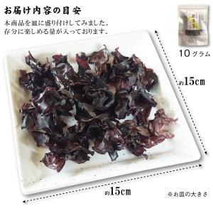 天然海藻 銀杏草 10g×2袋 函館産 自然食...の詳細画像4