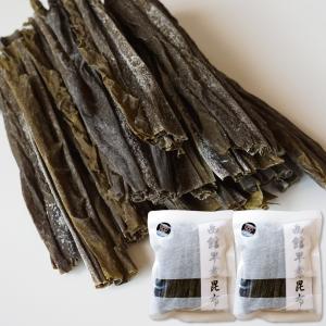 昆布 早煮昆布 50g×2個 食べる昆布 とても柔らかい 函館産 真昆布｜函館 マルユウ漁業部