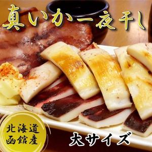 いか一夜干し 大サイズ 200g前後 北海道産 干物 イカ 一夜干し