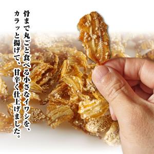 ＼今だけP最大16%/ぱりっと香ばしい いわし...の詳細画像1