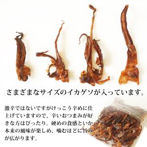 スルメ ガツンと辛い いかげそ 103g おつ...の詳細画像3