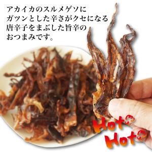 スルメ ガツンと辛い いかげそ 310g おつ...の詳細画像1