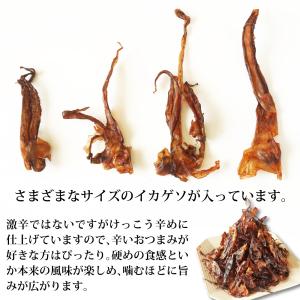 スルメ ガツンと辛い いかげそ 310g おつ...の詳細画像3