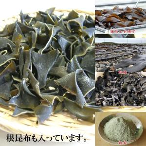 真昆布 昆布粉末 70g×3個 無添加 微粉末...の詳細画像2