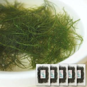海藻 まつも 10g×5個 天然海草 函館産 松藻 シャッキッとした歯触りがクセになる