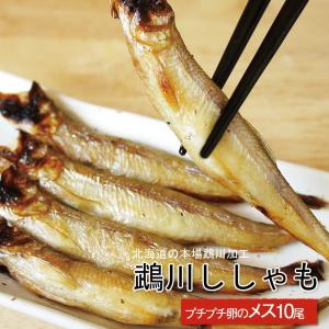 北海道産　本ししゃもメス　10尾