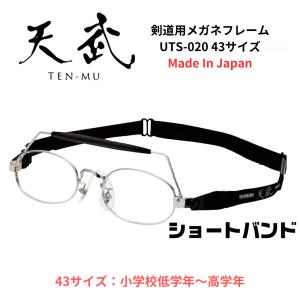 お取り寄せ）剣道用メガネフレーム 天武プレミアム UTP-010 46サイズ 