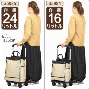 ソフト キャリーバッグ お買い物キャリー キャ...の詳細画像1