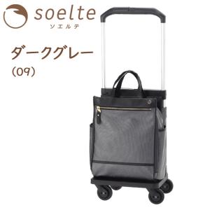 ソフト キャリーバッグ お買い物キャリー キャ...の詳細画像3