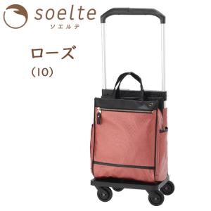 ソフト キャリーバッグ お買い物キャリー キャ...の詳細画像4