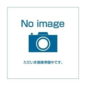 【送料無料】ジャニス[Janis] 化粧棚（化粧頭付木ねじ付） AYボルト 洗面器用 AYボルト付壁止金具 NT2BAY[代引不可]【沖縄・離島送料別途】【純正品】｜mary-b