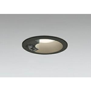 ODELIC（オーデリック） エクステリアライト 【OD 261 828R