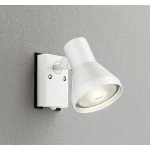 ODELIC オーデリック エクステリアライト スポットライト 防雨型