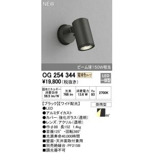 ODELIC オーデリック エクステリアライト OG 043 372 ODELIC オーデリック エクステリアライト OG 043 372