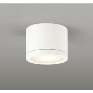 【代引・後払い不可】【OR037064】オーデリック　非常用照明・誘導灯器具 LED一体型 演色性(...