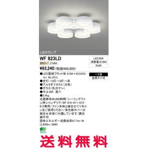 オーデリック インテリアライト シーリングファン 【WF 823LD】 WF823LD 【沖縄・北海道・離島は送料別途】 オーデリック インテリアライト シーリングファン 【WF 823LD】 WF823LD 【沖縄・北海道・離島は送料別途】