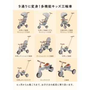 【1,000円オフ】8月19日(水)23:59...の詳細画像3